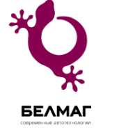 Логотип компании БелМаг АО