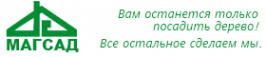 Логотип компании МАГСАД