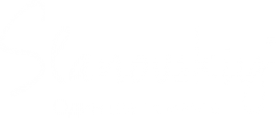 Логотип компании Slanovsky