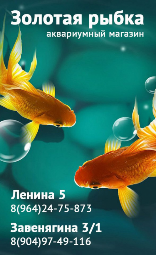 Логотип компании Золотая рыбка