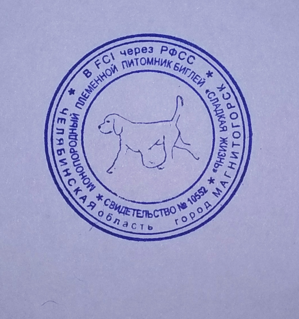 Логотип компании Племенной питомник биглей Сладкая Жизнь